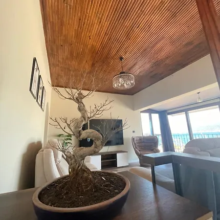 Deniz Manzarali 公寓 费特希耶